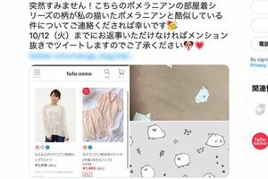 騒動の発端となった“パクられたデザイナー”のSNS