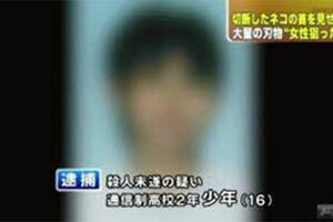 岡庭容疑者が通り魔で逮捕されたときの報道(FNNニュースより)