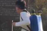 《山梨県・河口湖》外国人が“白い液体”を広範囲散布で大炎上「一線超えてない？…