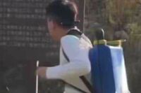 《山梨県・河口湖》外国人が“白い液体”を広範囲散布で大炎上「一線超えてない?」やりたい放題の蛮行に批判殺到