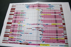 森美菜さんの勤務表のうち、色がついた箇所は出勤時間。休日もなく働いていた