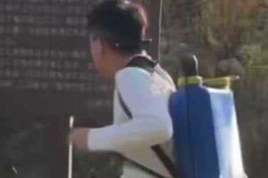 山梨県・河口湖の観光名所「留守ヶ岩」で謎の液体を噴霧する外国人男性（Xより）