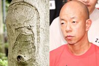 バイきんぐ・小峠似も「なんて“木”だ!」 珍樹ハンティングに出かけよう