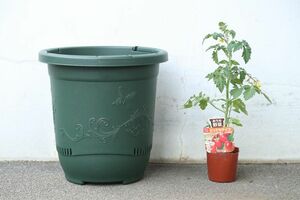 一般的なトマト1株に合ったプランターはこのぐらい。思った以上に大きなものが必要でビックリ!