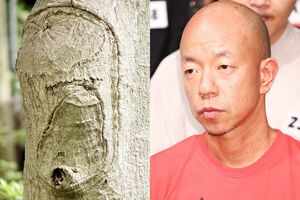 こちらの木にはバイきんぐ小峠が。本人もまさか人面樹で発見されたと知ったら「なんて日だ!」って叫んじゃう!？