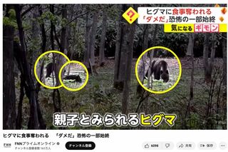 H氏の“ヒグマ遭遇”動画はフジテレビ系『イット!』で放送、FNNプライムオンラインでも配信された