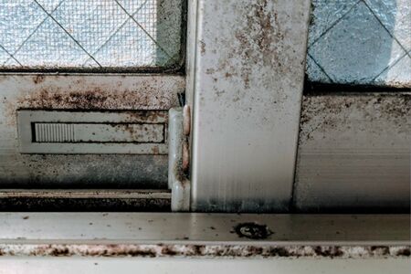 窓の結露は放置するとカビの原因に。こまめに拭いてカビの栄養源になる汚れを除去