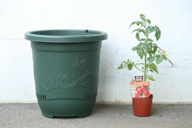 一般的なトマト1株に合ったプランターはこのぐらい。思った以上に大きなものが必要でビックリ！