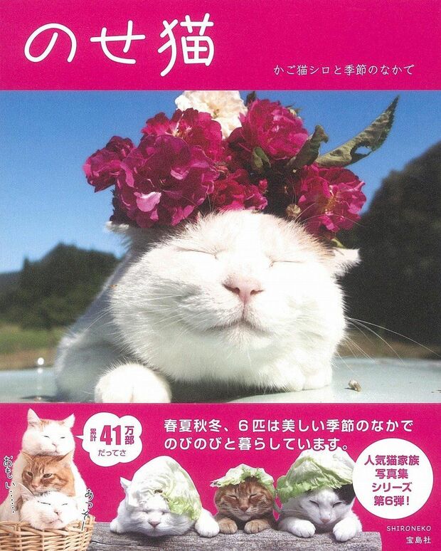 『のせ猫かご猫シロと季節のなかで』（SHIRONEKO＝著　900円　宝島社）　※記事の中で画像をクリックするとamazonの紹介ページに移動します