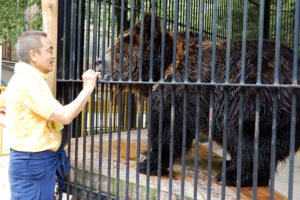 ヒグマのシュウは山本園長に“メロメロ”