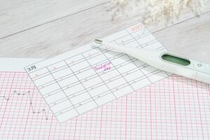 2100組以上を妊娠に導いた内科医が語る不妊治療の違和感「高度生殖医療だけがすべてではない」