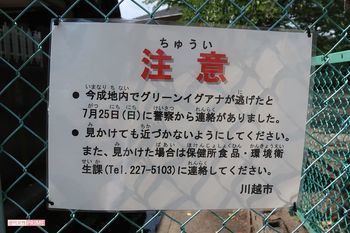 イグアナ“フアナちゃん”が脱走した地域に張り出された注意書き