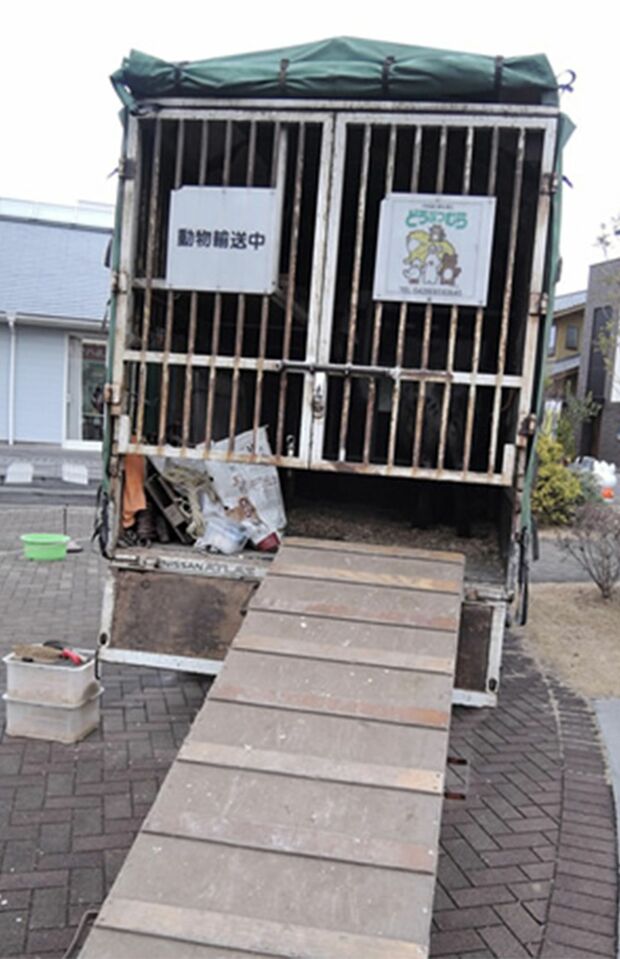 動物を輸送する車両。ときにかなりの長距離移動も（PEACE提供）