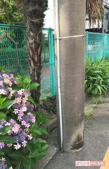 容疑者らしき不審人物はこの電柱の陰に隠れて