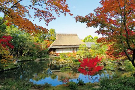 茶室「三秋亭」がシンボルの前園も秋色に