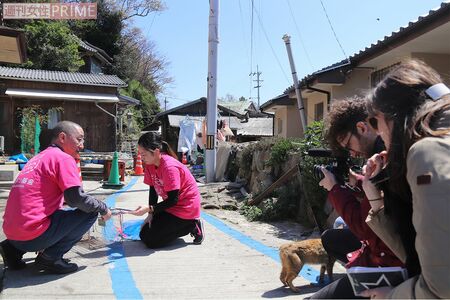 昨年10月に行ったTNRの事後調査（今年4月）には、フランス国営テレビの取材班も同行