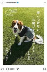 新しい家族が増える予定の大谷は、デコピンの写真で新年の挨拶を（大谷のインスタグラムより）