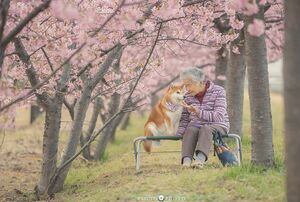 満開の河津桜の下で撮影　提供：YASUTO