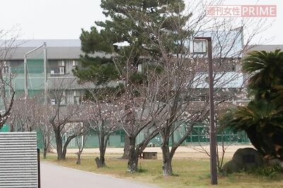 通っていた中学校のホームページでも匂坂さんは紹介されていた