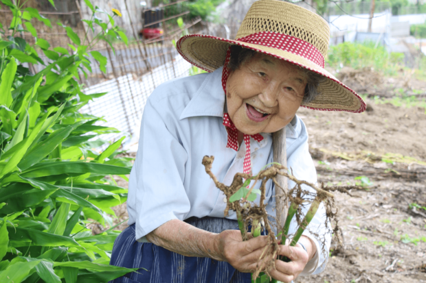 1年を通して21種類もの野菜を育てて収穫する。天気の良い日は畑の草取りに精を出す（写真提供／中国新聞社）