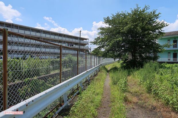 アドバイスをもとにいそうな場所を探すも見つからない……