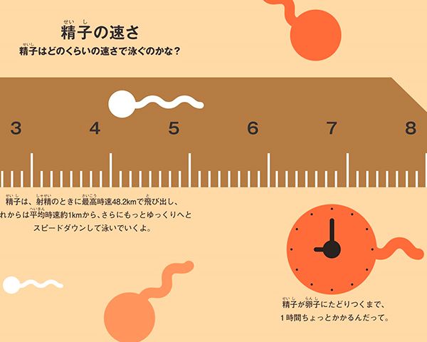 ボルトの世界記録より速い 精子が飛び出す速さは最高時速48 2キロ ニュース概要 週刊女性prime