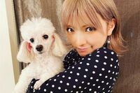 AKB48岡田奈々、熱愛報道後に即卒業発表で批判噴出!「ファンより男をとった」と印象づけた卒業発表文の“…