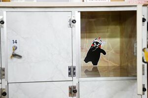 ロッカーの中など、“隠れくまモン”を探すのも楽しい♪　撮影／伊藤和幸