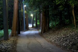 「ヤバい」と言われる場所には、それなりの理由があることも…