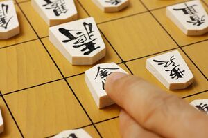 知れば知るほど楽し将棋