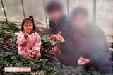 家族といちご狩りを行う6歳のころの篠田麻里子
