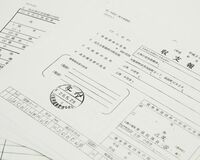 上西小百合議員、1億5086万3273円の血税ガッポリ