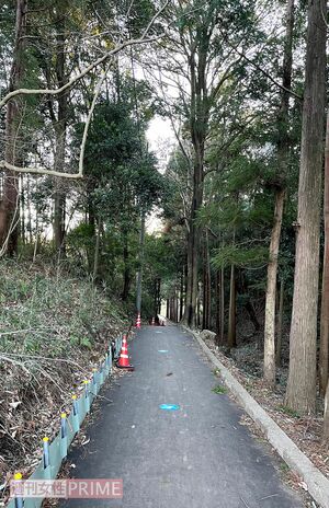 最寄り駅の鶴川駅からスタジアムまでの道中。森に囲まれた道になっていて、急な坂道が続く