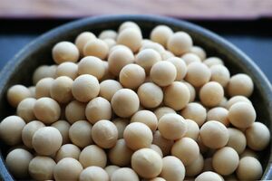 ※写真はイメージです