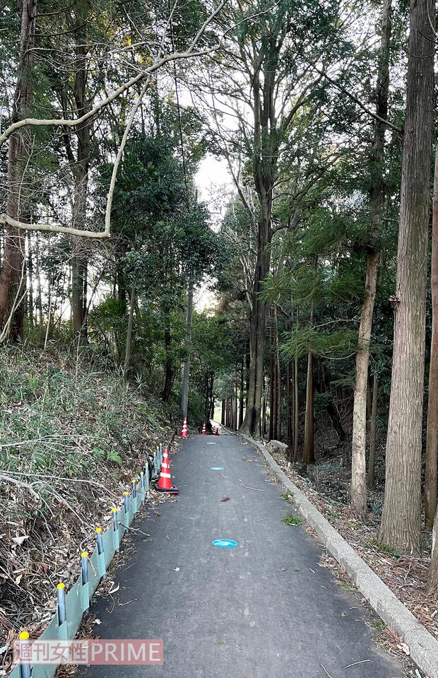 最寄り駅の鶴川駅からスタジアムまでの道中。森に囲まれた道になっていて、急な坂道が続く