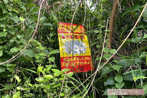 住宅地に隣接する茂みには4袋。近隣住民が発見後、警告の看板を設置したという