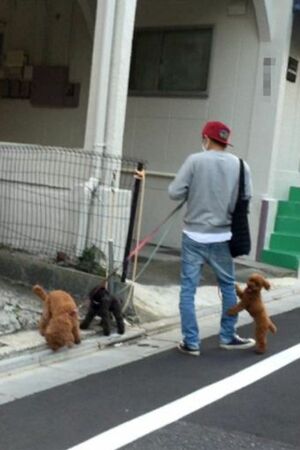  家族連れに話しかけられると笑顔で対応していた森田の散歩姿