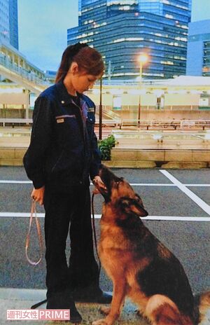 8年間、警察犬として頑張ったシェパードのグレースとはさまざまな現場を駆け回った。松尾さんは左の写真を今でも自宅リビングに大切に飾っている