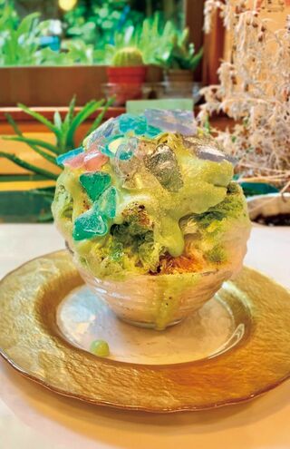 紫陽花/1000円