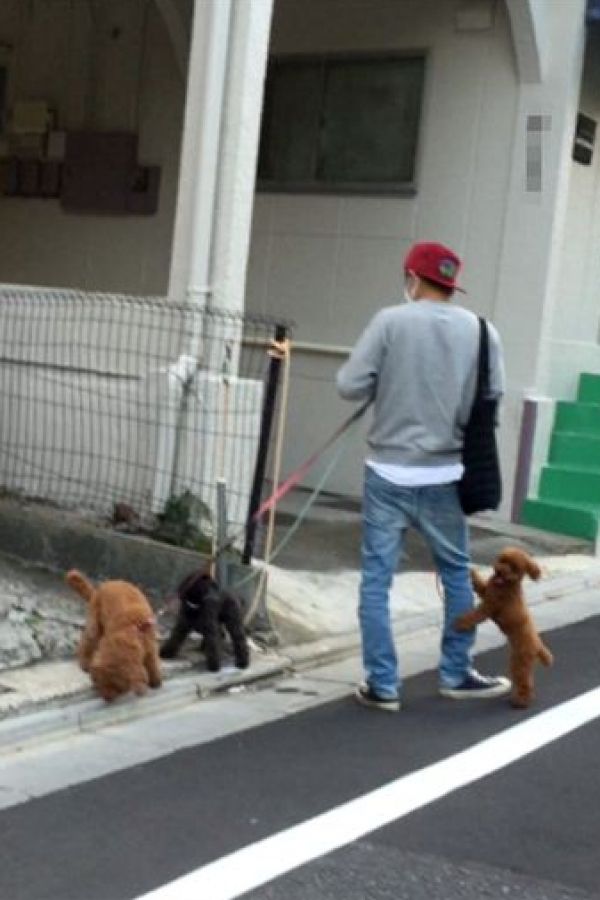  家族連れに話しかけられると笑顔で対応していた森田の散歩姿