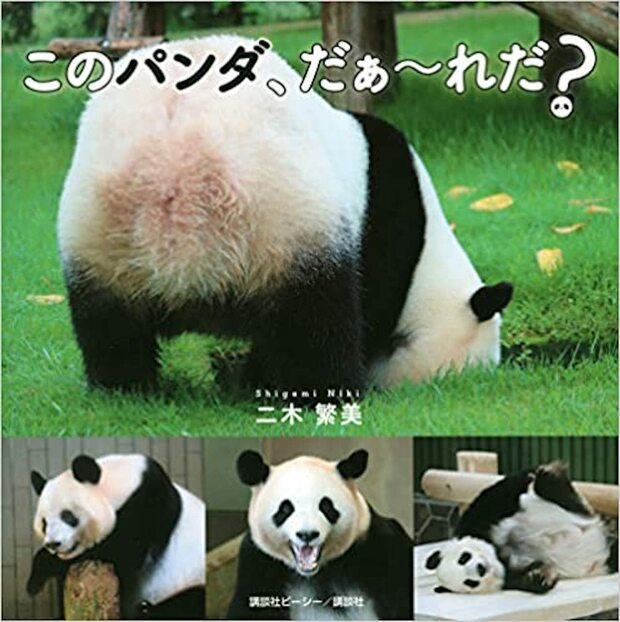 『このパンダ、だぁ～れだ？』（講談社ビーシー）著・二木繁美　※画像をクリックするとアマゾンの商品ページにジャンプします。