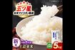 第1位　島根県松江市　［全6回定期便］新米コシヒカリ5kg　寄付額7万円