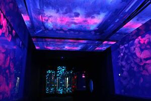 『のとじま臨海公園水族館（のとじま水族館）』公式HPより