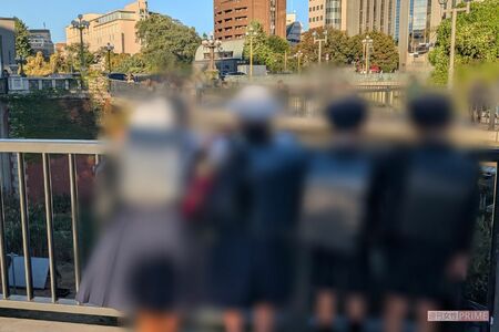 下校途中の小学生たちも四ツ谷駅に放牧されたヤギに夢中だった　撮影／編集部