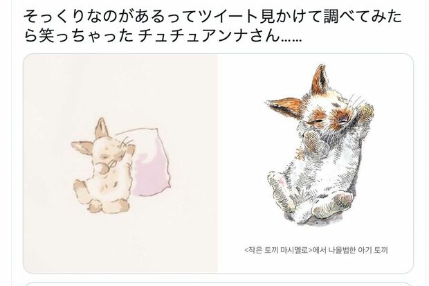 『チュチュアンナ』公式SNSには、盗用疑惑がかけられたアイテムと元ネタとされるデザインが