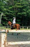 大河撮影のため乗馬の練習に励む吉高由里子（本人のXより）