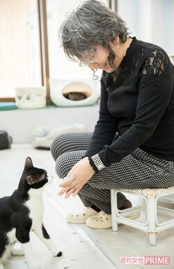 NPO法人『東京キャットガーディアン』山本葉子さん