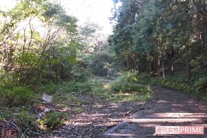 遺体の発見現場は人通りもなく夜は真っ暗に