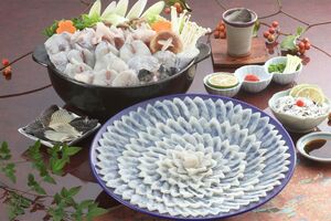 ふぐ刺とちり鍋セット/2〜3人前11800円