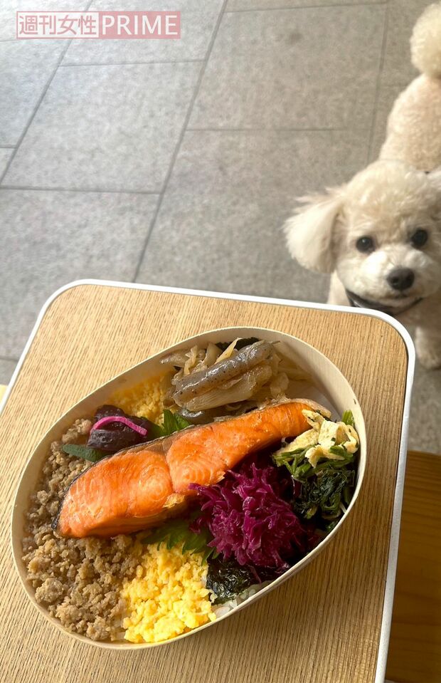 こちらはなんでも食べる福くんです